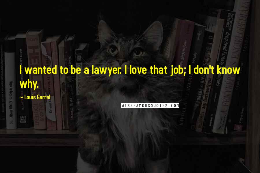 Louis Garrel Quotes: I wanted to be a lawyer. I love that job; I don't know why.