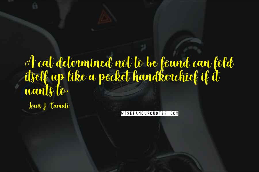 Louis J. Camuti Quotes: A cat determined not to be found can fold itself up like a pocket handkerchief if it wants to.