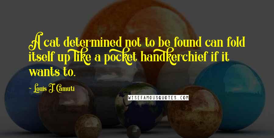 Louis J. Camuti Quotes: A cat determined not to be found can fold itself up like a pocket handkerchief if it wants to.