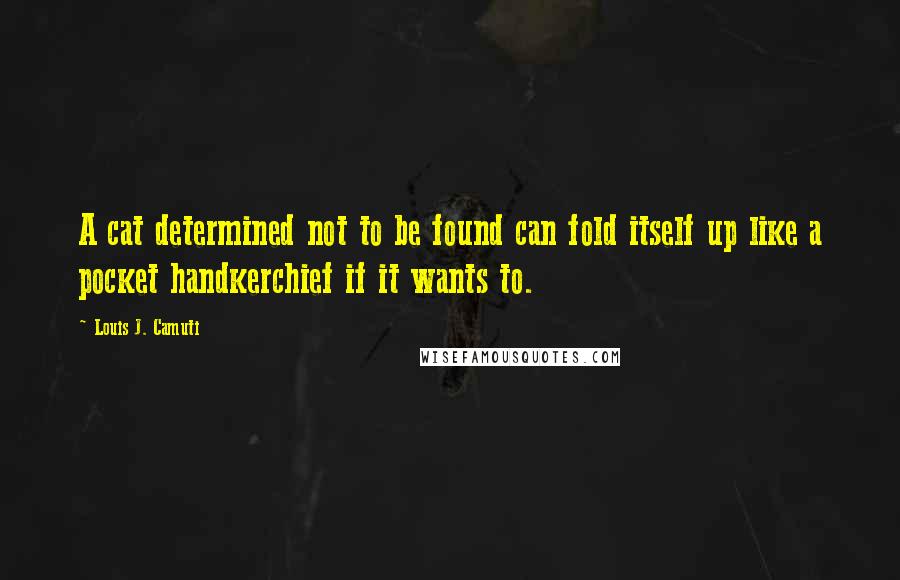 Louis J. Camuti Quotes: A cat determined not to be found can fold itself up like a pocket handkerchief if it wants to.