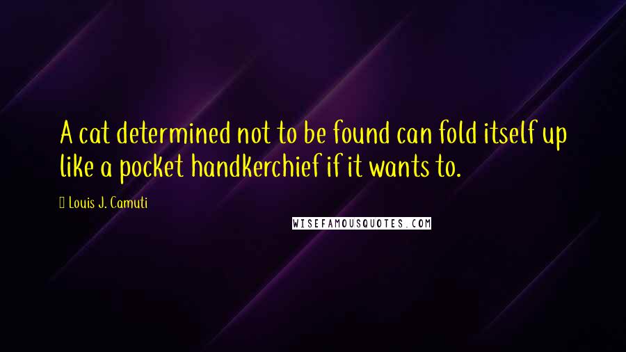 Louis J. Camuti Quotes: A cat determined not to be found can fold itself up like a pocket handkerchief if it wants to.