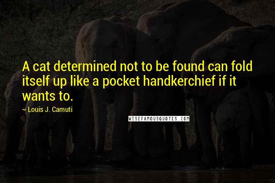 Louis J. Camuti Quotes: A cat determined not to be found can fold itself up like a pocket handkerchief if it wants to.