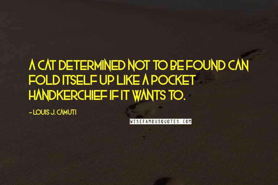 Louis J. Camuti Quotes: A cat determined not to be found can fold itself up like a pocket handkerchief if it wants to.