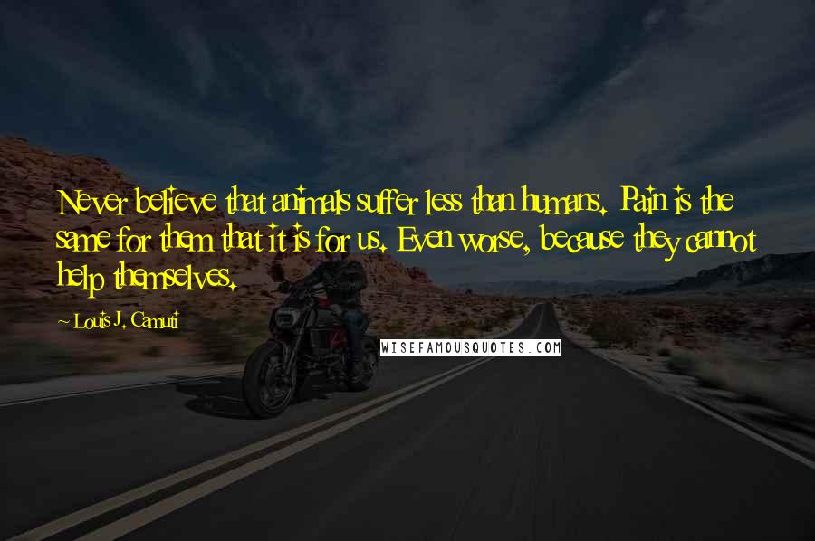 Louis J. Camuti Quotes: Never believe that animals suffer less than humans. Pain is the same for them that it is for us. Even worse, because they cannot help themselves.