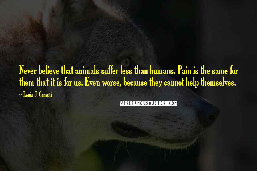 Louis J. Camuti Quotes: Never believe that animals suffer less than humans. Pain is the same for them that it is for us. Even worse, because they cannot help themselves.