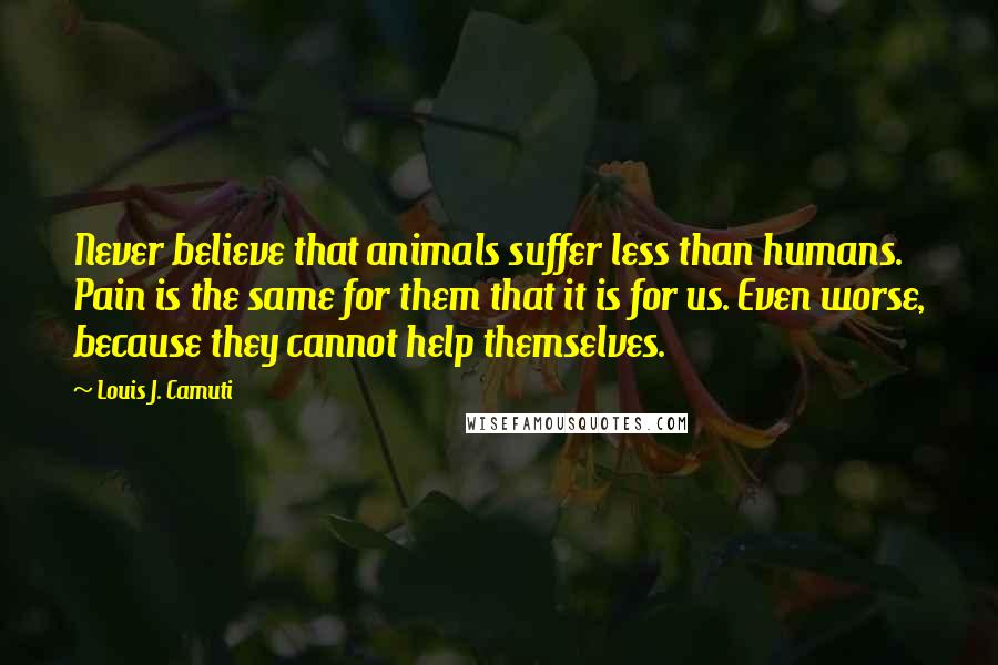 Louis J. Camuti Quotes: Never believe that animals suffer less than humans. Pain is the same for them that it is for us. Even worse, because they cannot help themselves.