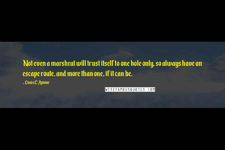 Louis L'Amour Quotes: Not even a marshrat will trust itself to one hole only, so always have an escape route, and more than one, if it can be.