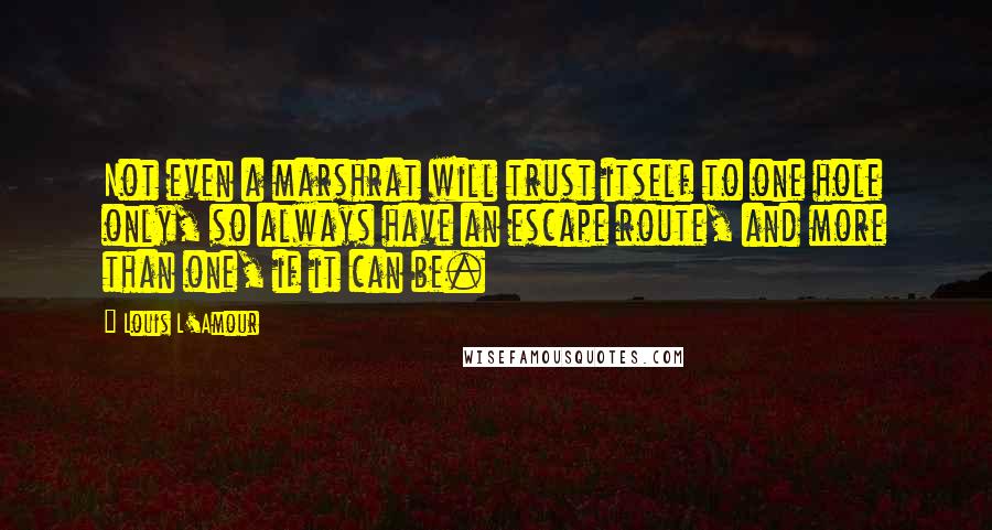 Louis L'Amour Quotes: Not even a marshrat will trust itself to one hole only, so always have an escape route, and more than one, if it can be.