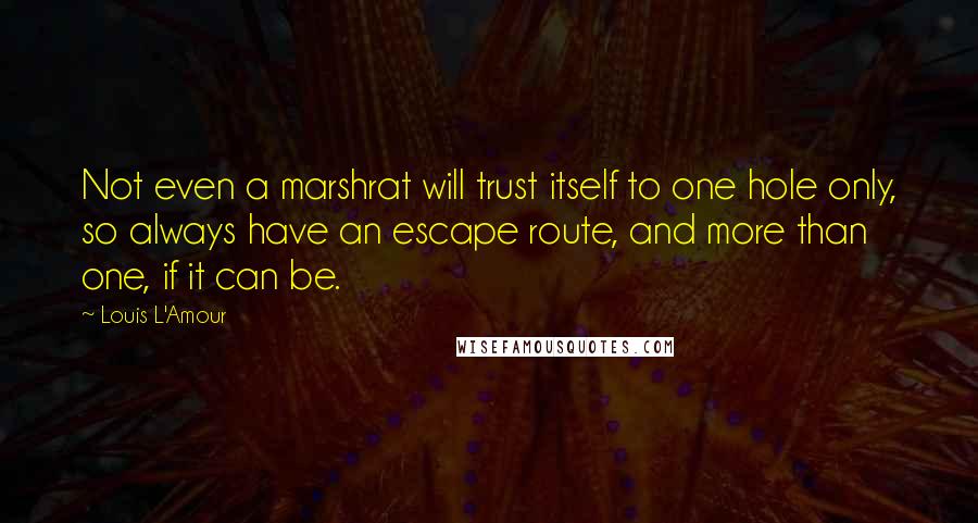 Louis L'Amour Quotes: Not even a marshrat will trust itself to one hole only, so always have an escape route, and more than one, if it can be.