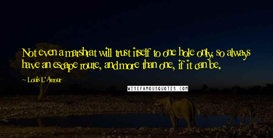 Louis L'Amour Quotes: Not even a marshrat will trust itself to one hole only, so always have an escape route, and more than one, if it can be.