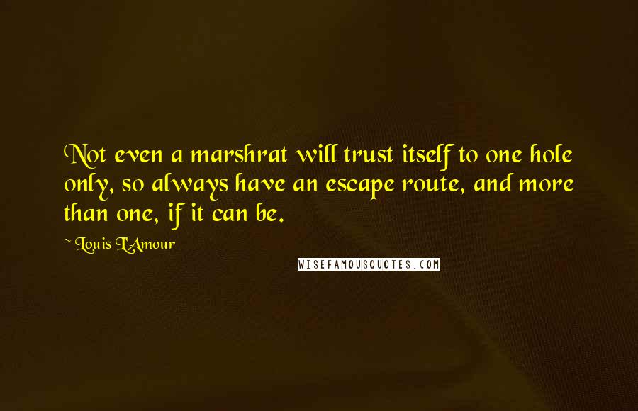 Louis L'Amour Quotes: Not even a marshrat will trust itself to one hole only, so always have an escape route, and more than one, if it can be.
