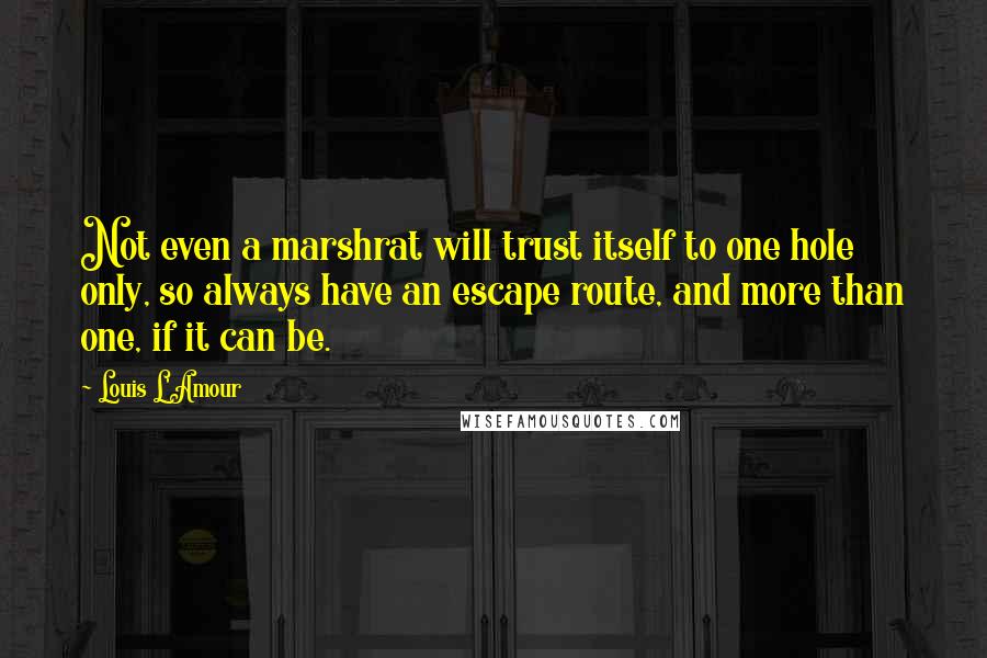 Louis L'Amour Quotes: Not even a marshrat will trust itself to one hole only, so always have an escape route, and more than one, if it can be.