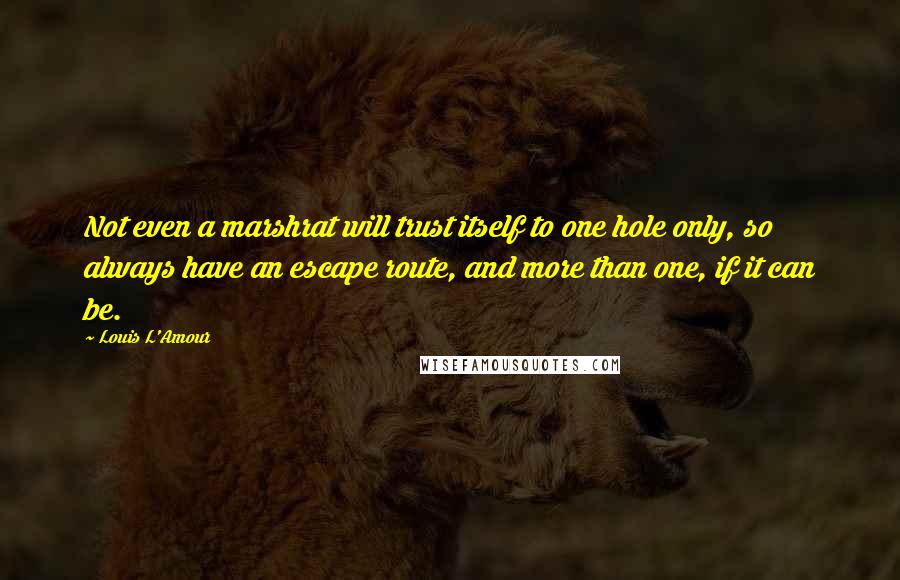 Louis L'Amour Quotes: Not even a marshrat will trust itself to one hole only, so always have an escape route, and more than one, if it can be.