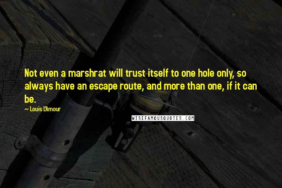 Louis L'Amour Quotes: Not even a marshrat will trust itself to one hole only, so always have an escape route, and more than one, if it can be.