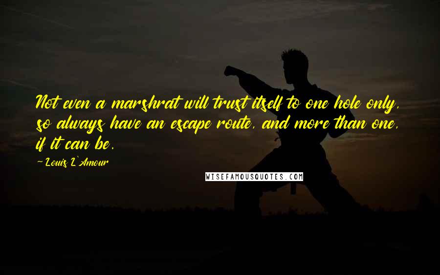 Louis L'Amour Quotes: Not even a marshrat will trust itself to one hole only, so always have an escape route, and more than one, if it can be.