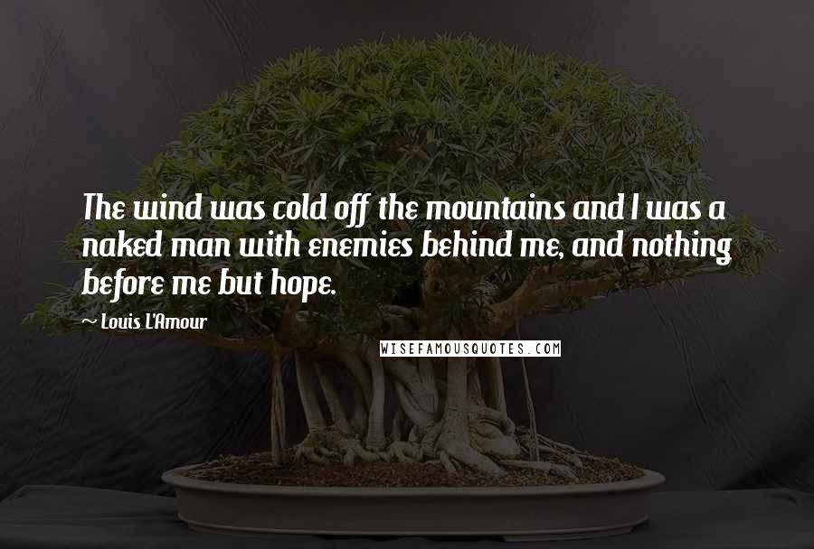 Louis L'Amour Quotes: The wind was cold off the mountains and I was a naked man with enemies behind me, and nothing before me but hope.