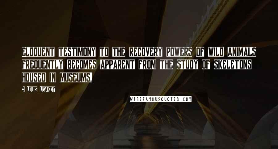 Louis Leakey Quotes: Eloquent testimony to the recovery powers of wild animals frequently becomes apparent from the study of skeletons housed in museums.