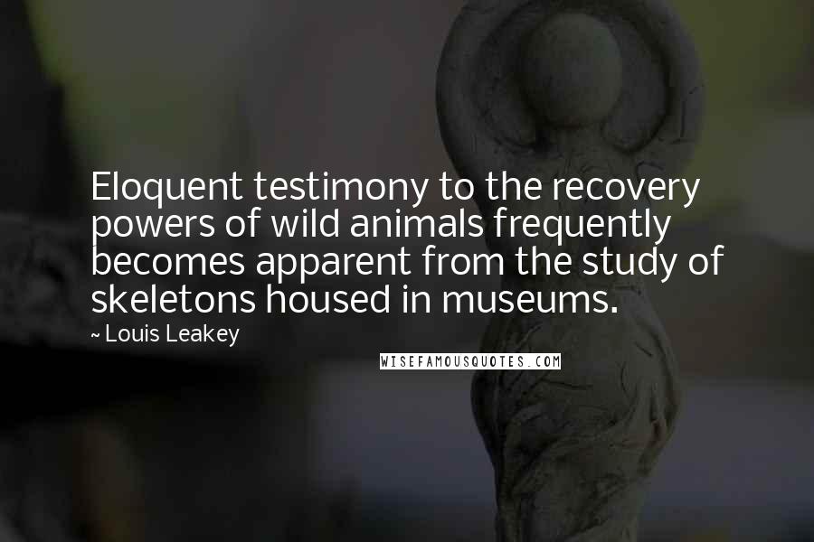 Louis Leakey Quotes: Eloquent testimony to the recovery powers of wild animals frequently becomes apparent from the study of skeletons housed in museums.