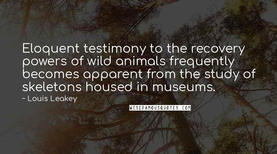 Louis Leakey Quotes: Eloquent testimony to the recovery powers of wild animals frequently becomes apparent from the study of skeletons housed in museums.