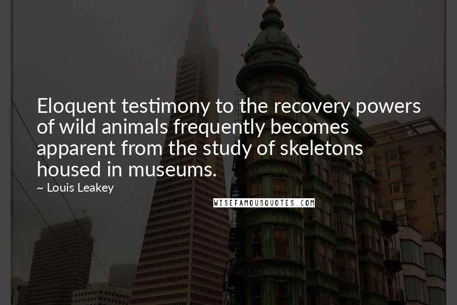 Louis Leakey Quotes: Eloquent testimony to the recovery powers of wild animals frequently becomes apparent from the study of skeletons housed in museums.