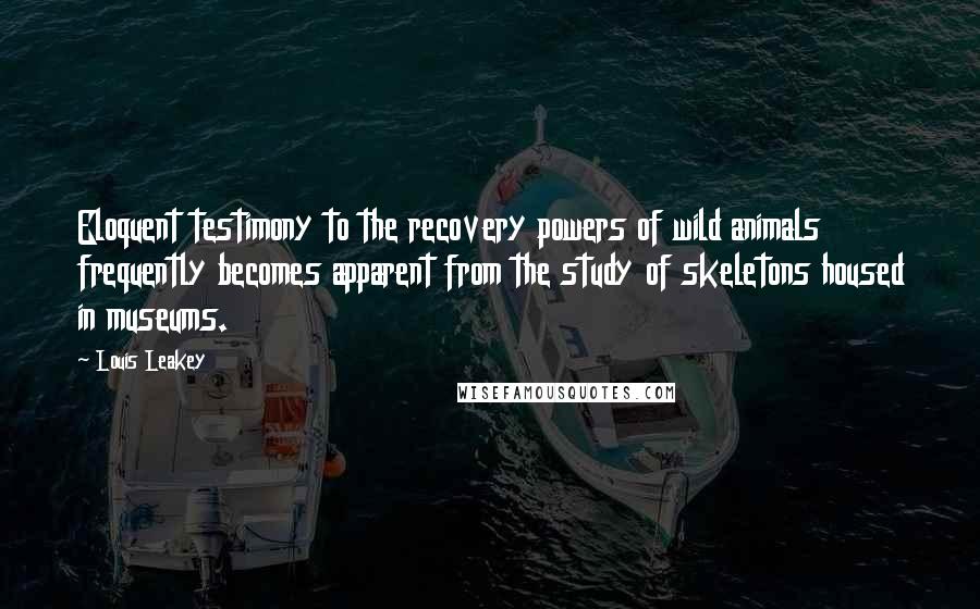 Louis Leakey Quotes: Eloquent testimony to the recovery powers of wild animals frequently becomes apparent from the study of skeletons housed in museums.