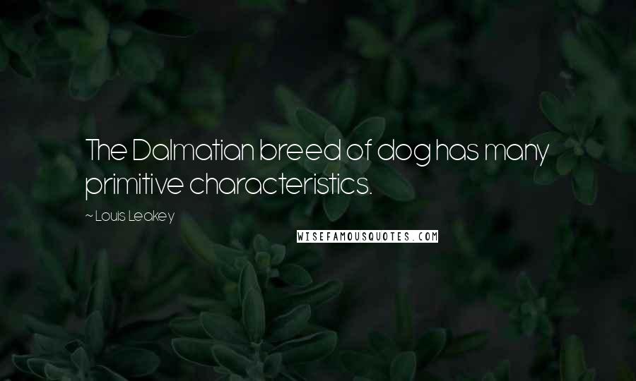 Louis Leakey Quotes: The Dalmatian breed of dog has many primitive characteristics.