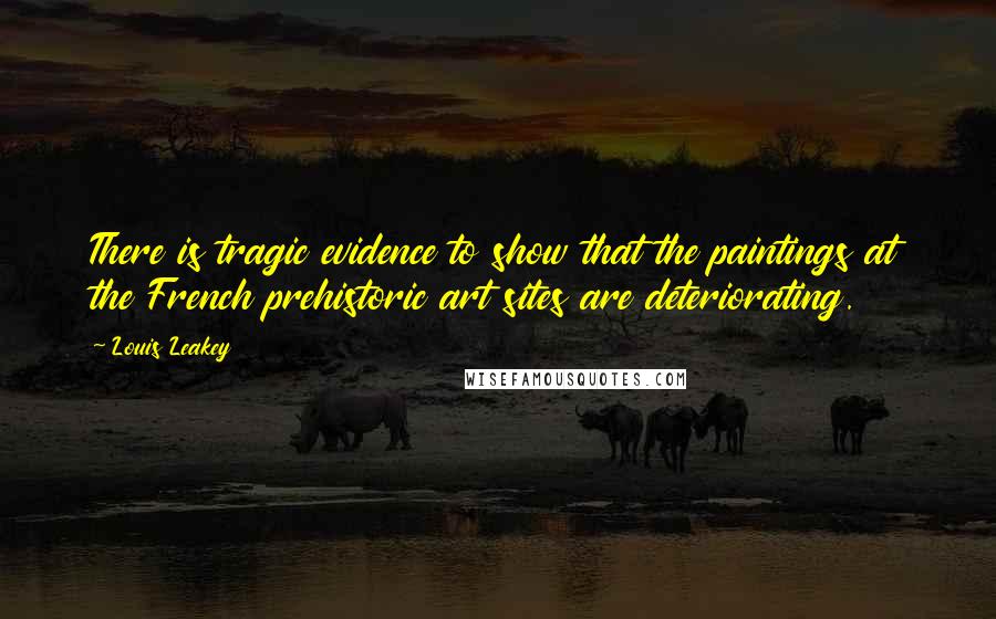 Louis Leakey Quotes: There is tragic evidence to show that the paintings at the French prehistoric art sites are deteriorating.