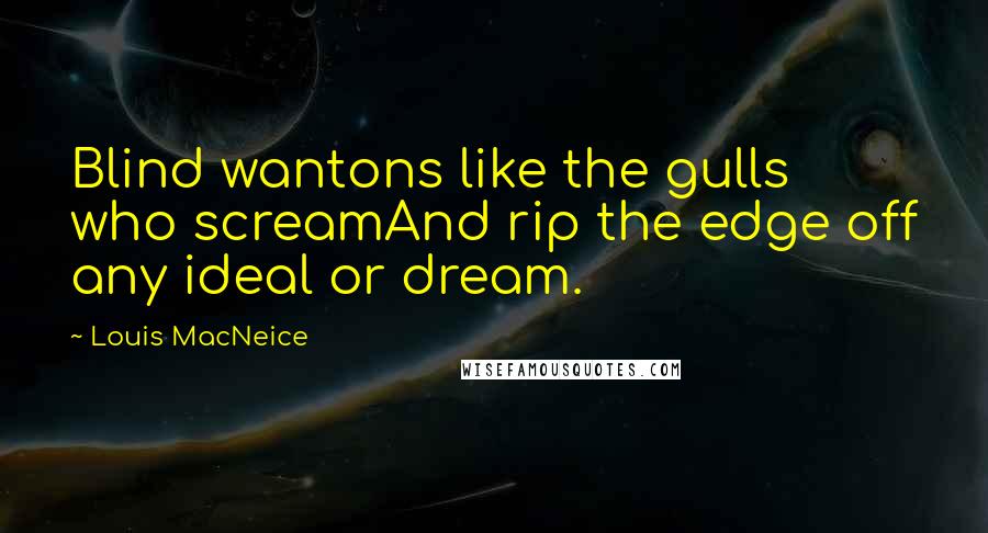 Louis MacNeice Quotes: Blind wantons like the gulls who screamAnd rip the edge off any ideal or dream.