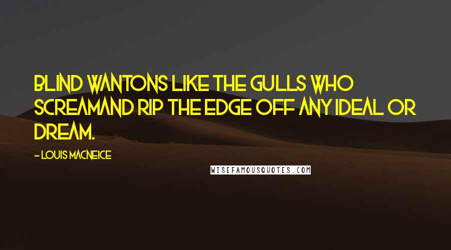 Louis MacNeice Quotes: Blind wantons like the gulls who screamAnd rip the edge off any ideal or dream.