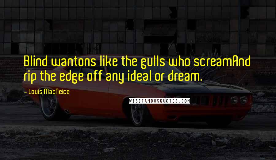 Louis MacNeice Quotes: Blind wantons like the gulls who screamAnd rip the edge off any ideal or dream.