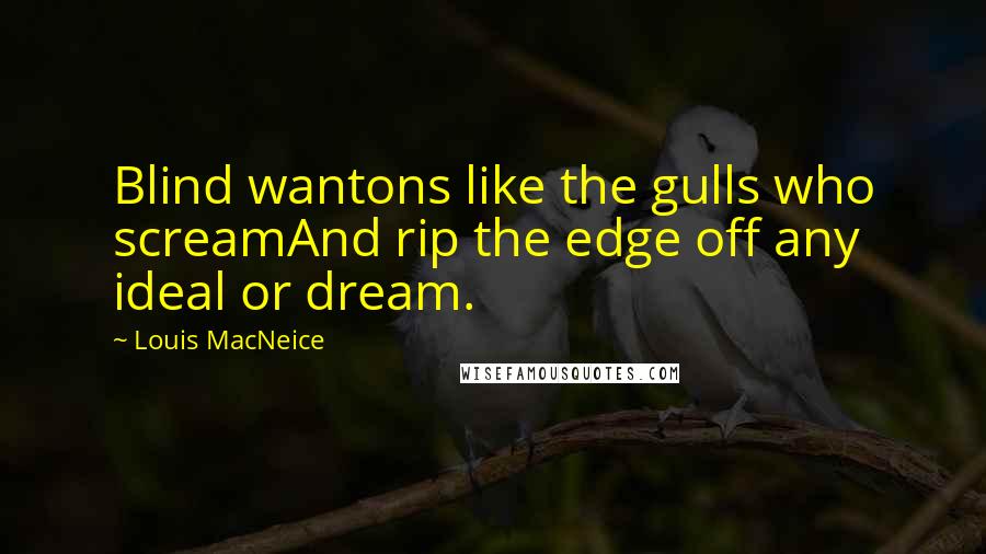 Louis MacNeice Quotes: Blind wantons like the gulls who screamAnd rip the edge off any ideal or dream.