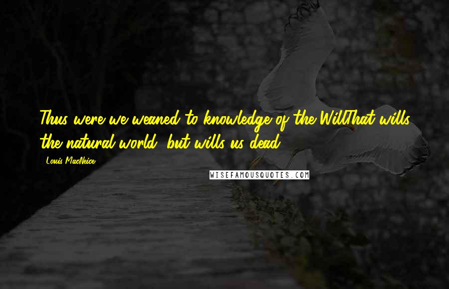 Louis MacNeice Quotes: Thus were we weaned to knowledge of the WillThat wills the natural world, but wills us dead.