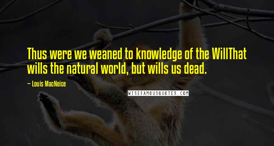 Louis MacNeice Quotes: Thus were we weaned to knowledge of the WillThat wills the natural world, but wills us dead.