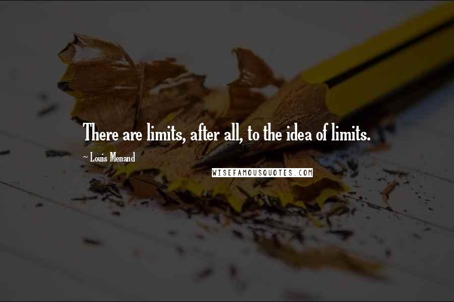 Louis Menand Quotes: There are limits, after all, to the idea of limits.