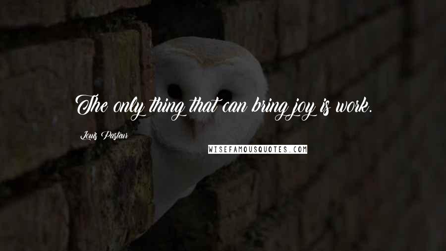 Louis Pasteur Quotes: The only thing that can bring joy is work.