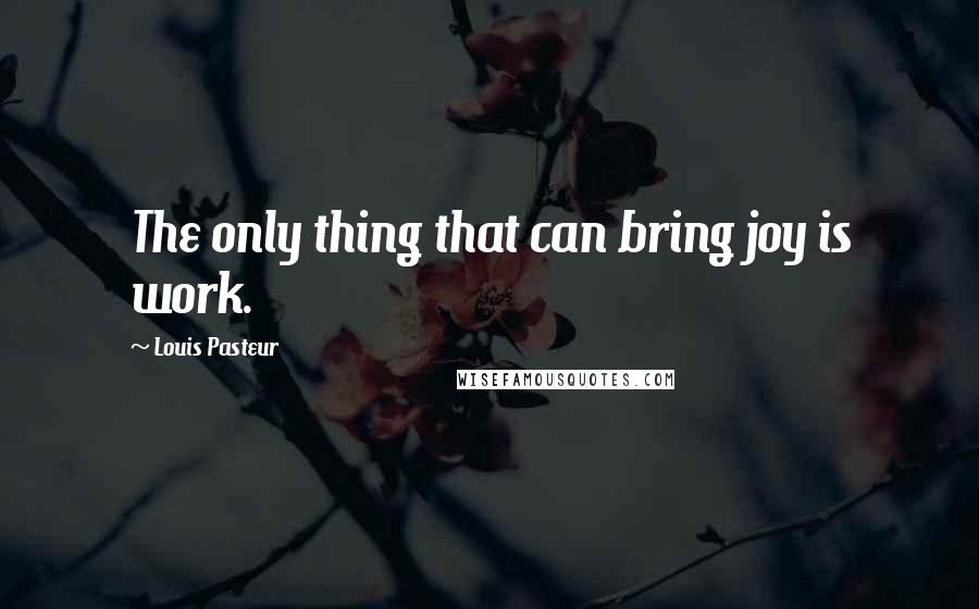 Louis Pasteur Quotes: The only thing that can bring joy is work.