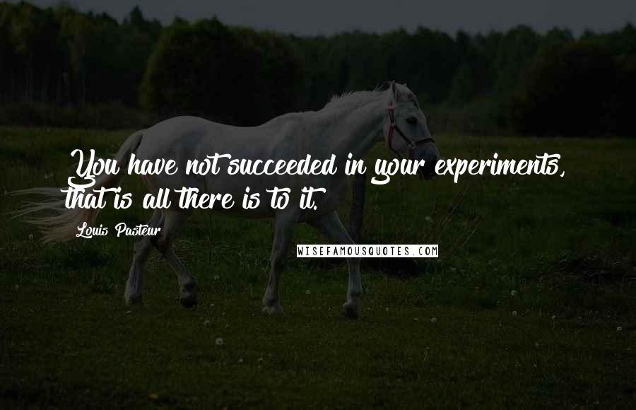 Louis Pasteur Quotes: You have not succeeded in your experiments, that is all there is to it.