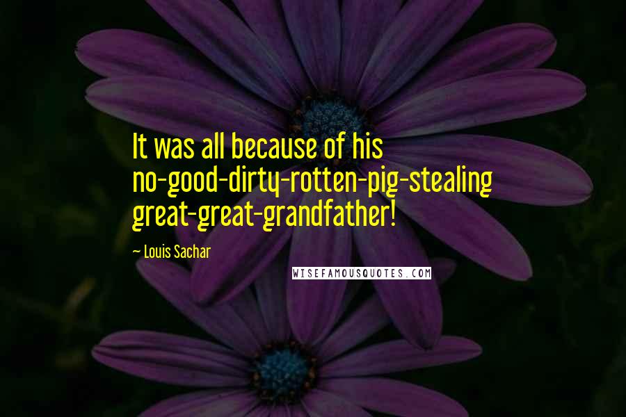 Louis Sachar Quotes: It was all because of his no-good-dirty-rotten-pig-stealing great-great-grandfather!