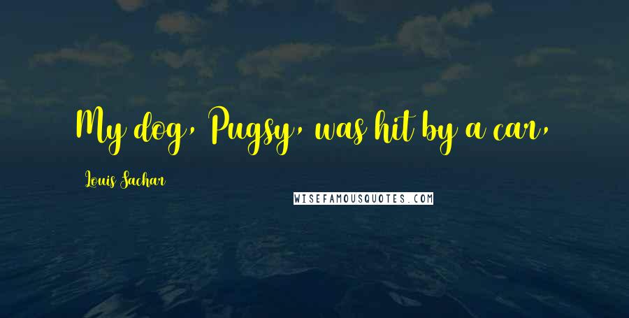 Louis Sachar Quotes: My dog, Pugsy, was hit by a car,