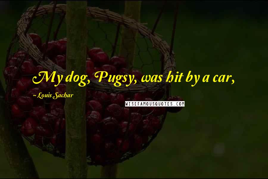 Louis Sachar Quotes: My dog, Pugsy, was hit by a car,