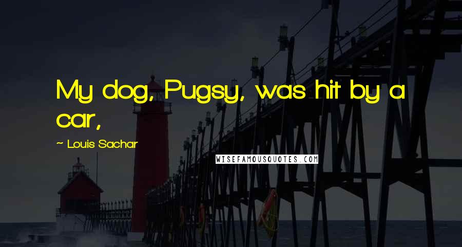 Louis Sachar Quotes: My dog, Pugsy, was hit by a car,