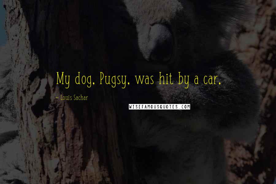 Louis Sachar Quotes: My dog, Pugsy, was hit by a car,