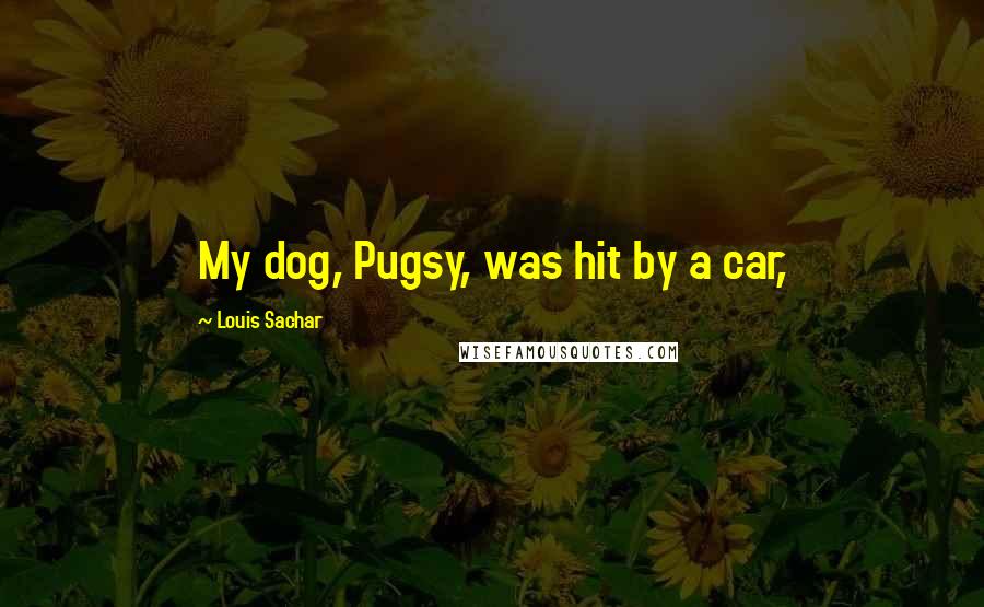 Louis Sachar Quotes: My dog, Pugsy, was hit by a car,