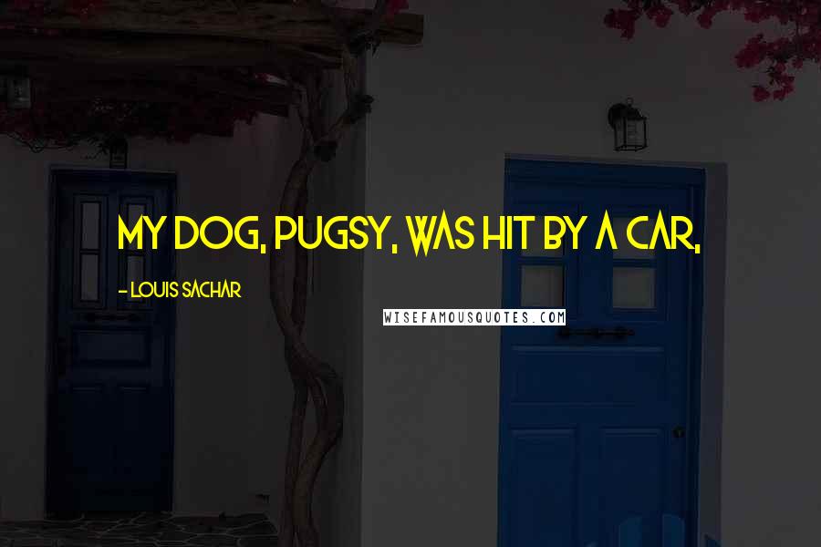 Louis Sachar Quotes: My dog, Pugsy, was hit by a car,