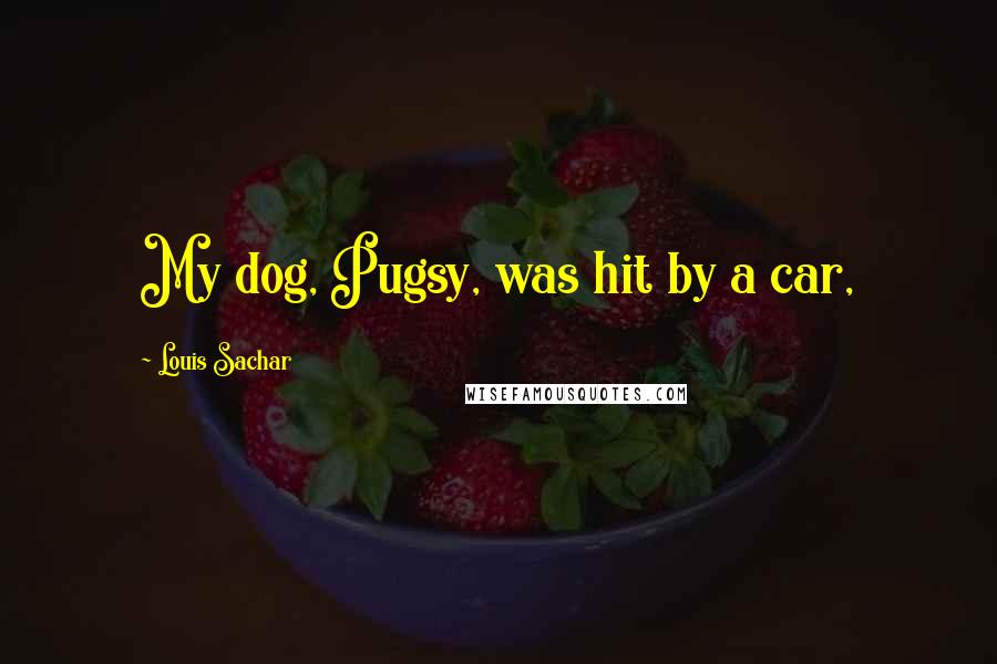 Louis Sachar Quotes: My dog, Pugsy, was hit by a car,