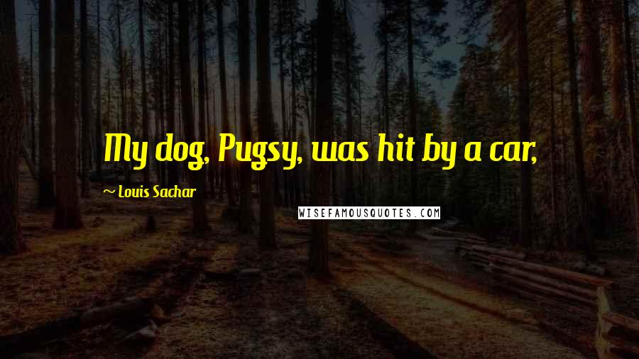 Louis Sachar Quotes: My dog, Pugsy, was hit by a car,