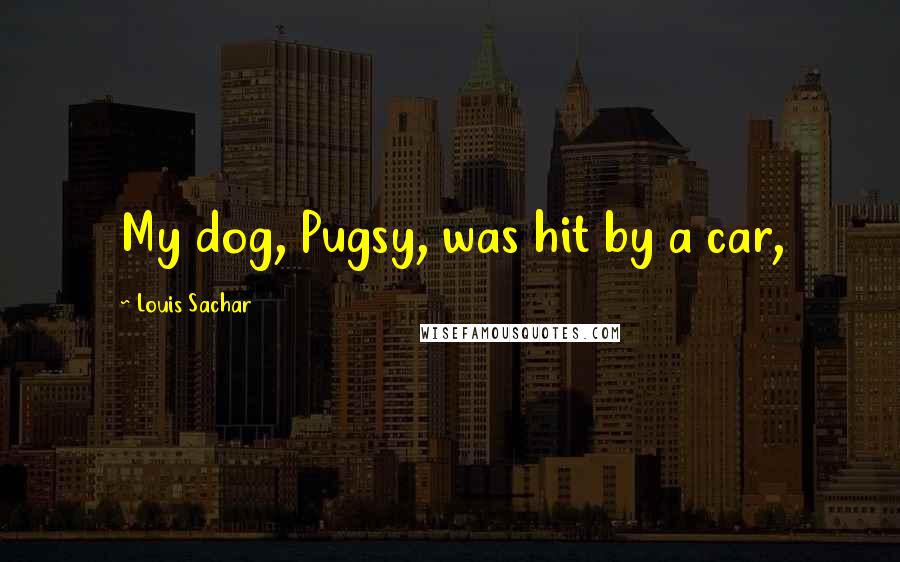 Louis Sachar Quotes: My dog, Pugsy, was hit by a car,