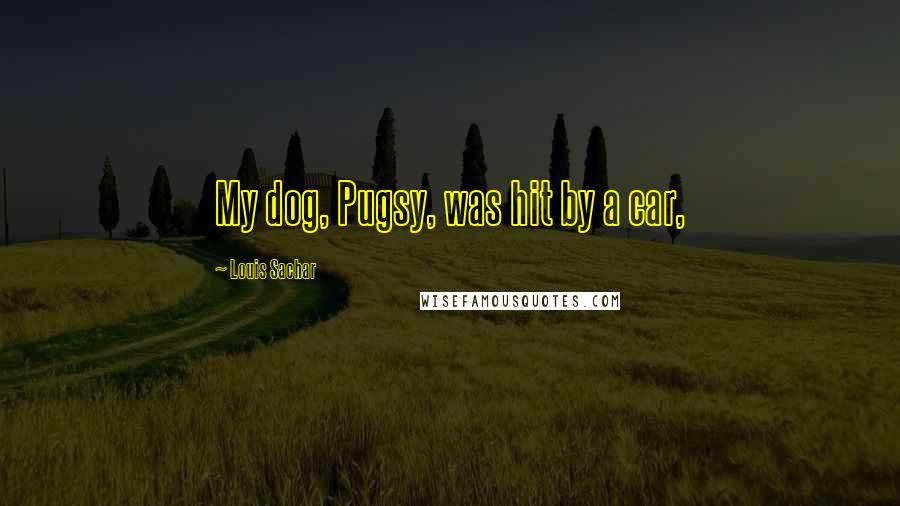 Louis Sachar Quotes: My dog, Pugsy, was hit by a car,