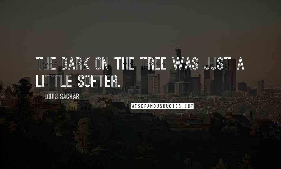 Louis Sachar Quotes: The bark on the tree was just a little softer.