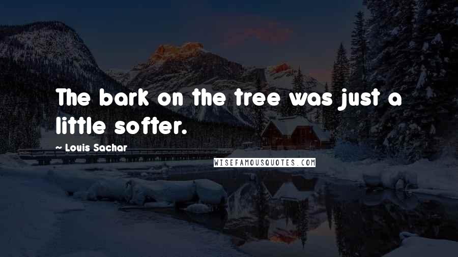 Louis Sachar Quotes: The bark on the tree was just a little softer.